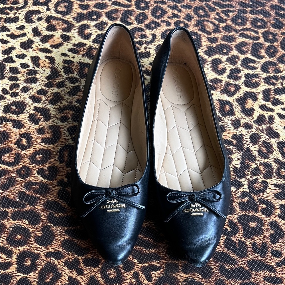 Coach leather ballet flats